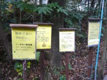 ナウでヤングな大人の為の心理学