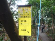 ナウでヤングな大人の為の心理学