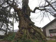 ナウでヤングな大人の為の心理学