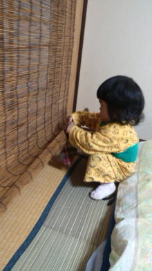 ナウでヤングな大人の為の心理学