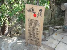 ナウでヤングな大人の為の心理学