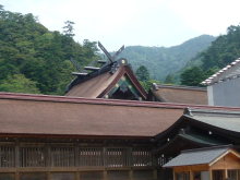 ナウでヤングな大人の為の心理学