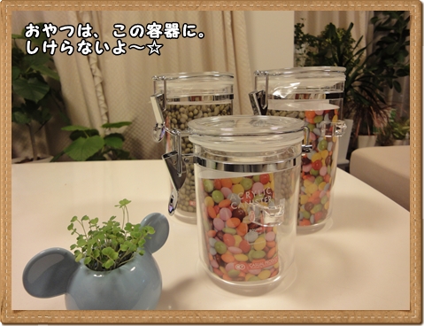 DSC01936.jpg
