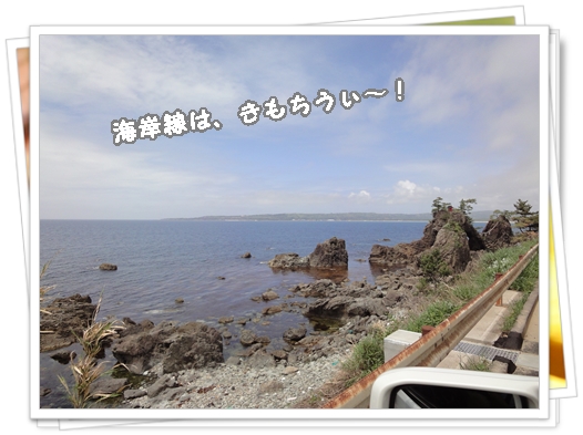 DSC02533.jpg