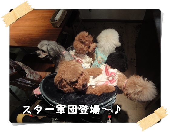 DSC03036.jpg