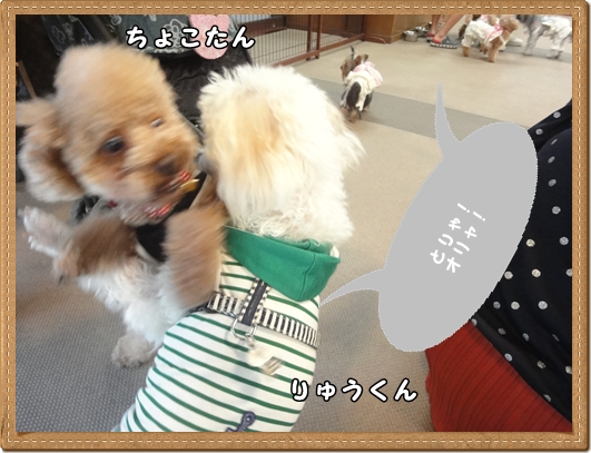 DSC03047.jpg