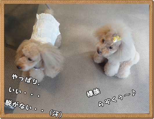 DSC03049.jpg