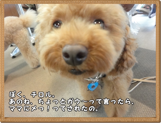 DSC03061.jpg
