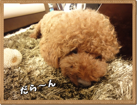 DSC03090.jpg