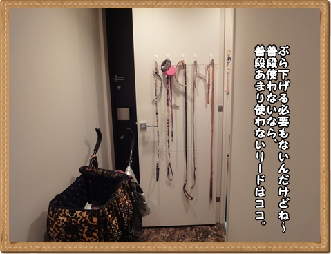 DSC03097.jpg