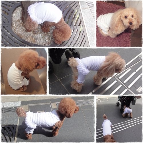 page_20120808231339.jpg