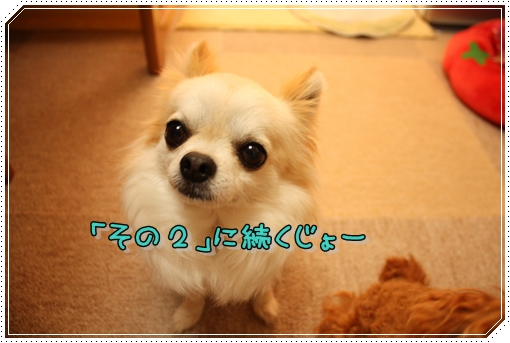 IMG_0280_20120812173246.jpg