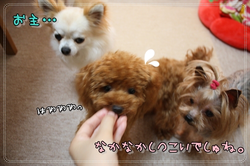 IMG_0319_20120712125126.jpg