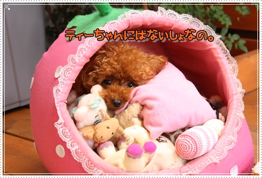 IMG_0555_20120912105414.jpg