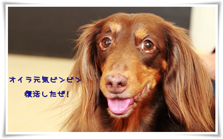 元気ビンビン