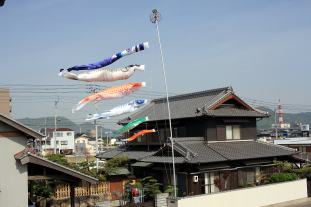IMG_2429.jpg