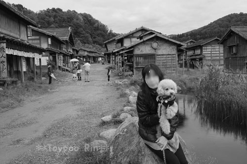 121029s-5.jpg