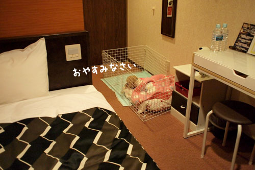 121223s-12.jpg