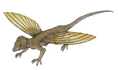 コエルロサウラヴィス