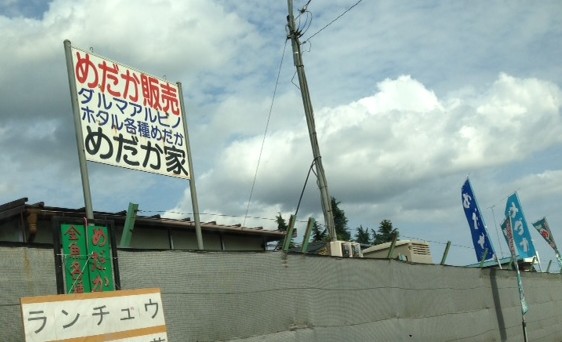 2013y06m07d_204752622.jpg