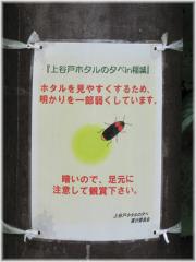 120610G 015街灯A