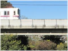 121118G 023道路予定地B