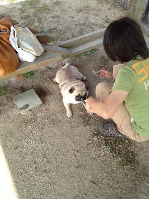 写真 9