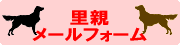 ここをクリック