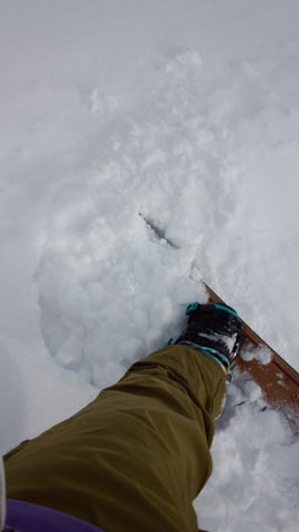 IMG_20140113_09083594.jpg