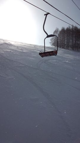 IMG_20140126_092414839.jpg