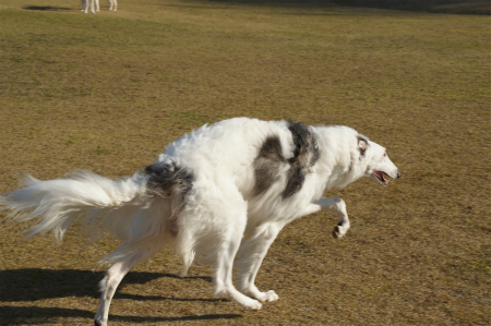 DSC02731.jpg