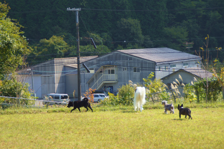 DSC03685.jpg