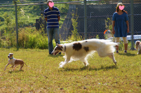 DSC03724.jpg
