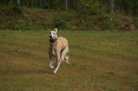 DSC03745.jpg