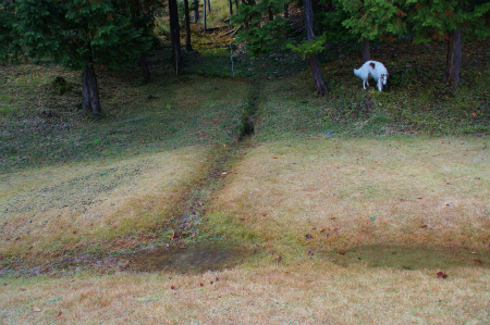 DSC03898.jpg