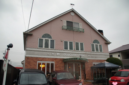 DSC04105.jpg
