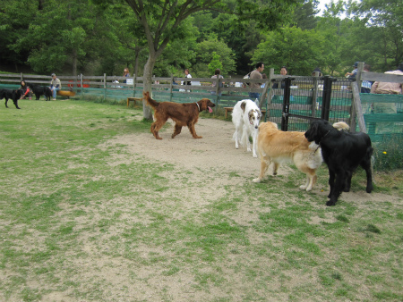 IMG_4337.jpg