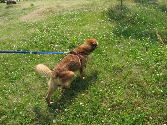 20120524-19.jpg