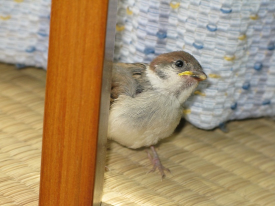 20120706-7_20120706151128.jpg