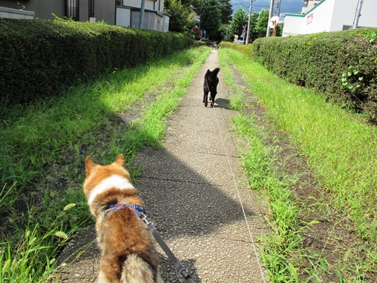 20120901-13.jpg