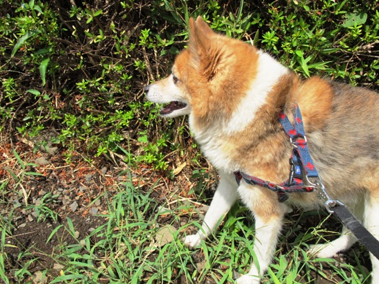 20120901-15.jpg