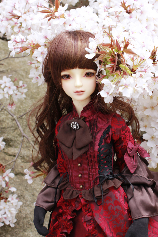 sakura04.jpg