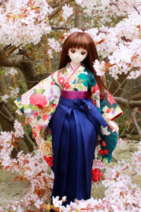 sakura11.jpg