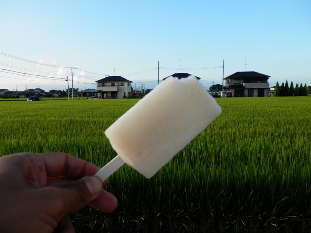 P000110.jpg