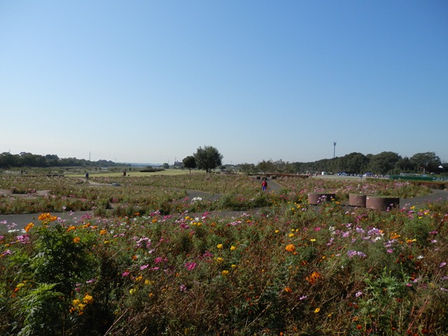 P000132.jpg
