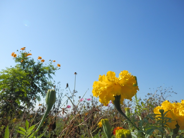 P000133.jpg