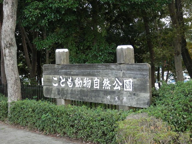 P000137.jpg