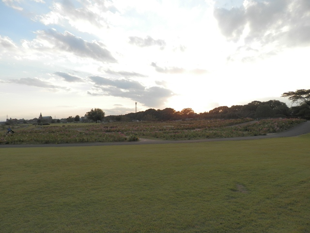 P000141.jpg
