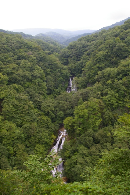 R000003.jpg
