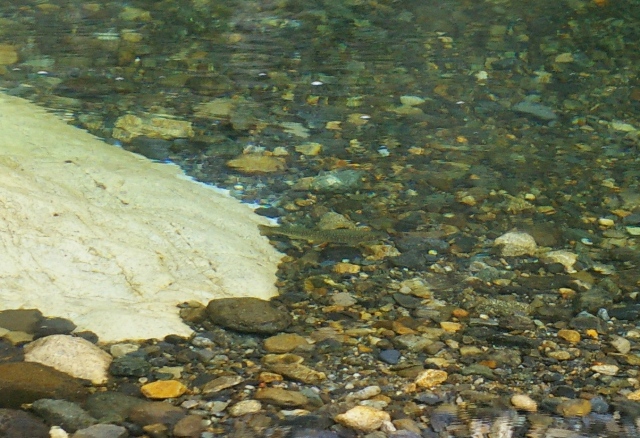 R000006.jpg